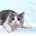 MeowLaser Cat Collar Play - UzoShop -Cat Toys -3+1 Sale - animals