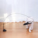 WhiskerWand Upgraded Cat Suction Cup Toy - UzoShop -Cat Toys -animals - Cat Entertainment