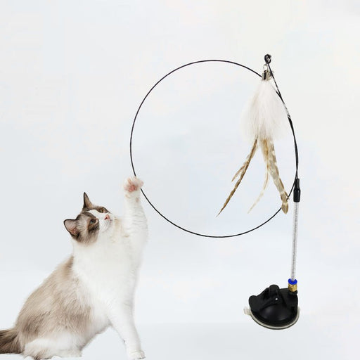 WhiskerWand Upgraded Cat Suction Cup Toy - UzoShop -Cat Toys -animals - Cat Entertainment